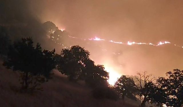 Manisa'nın Köprübaşı ilçesinde de yangın çıktı