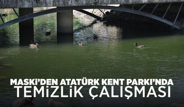Atatürk Kent Parkı’ndaki dere temizlendi