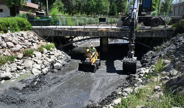 Atatürk Kent Parkı’ndaki dere temizlendi