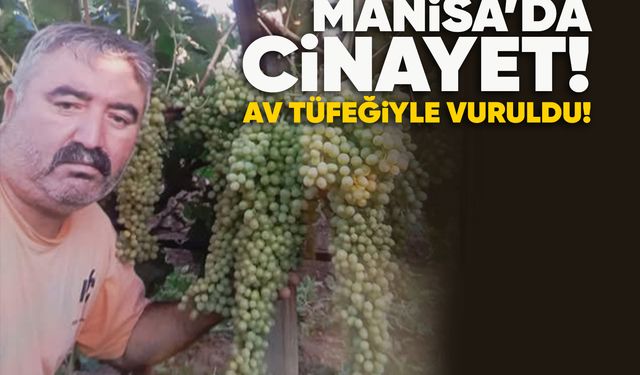 Manisa'da cinayet!
