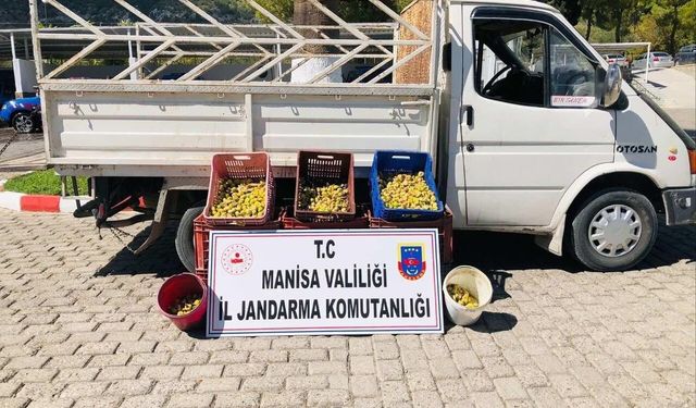 Manisa'da incir çalan 5 kişi yakalandı