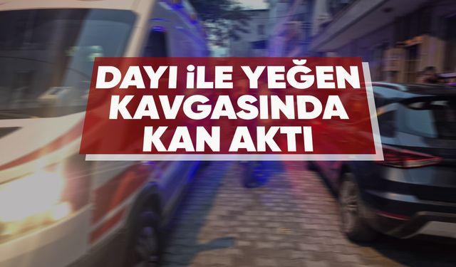 Manisa'da dayı-yeğen kavgası kanlı bitti