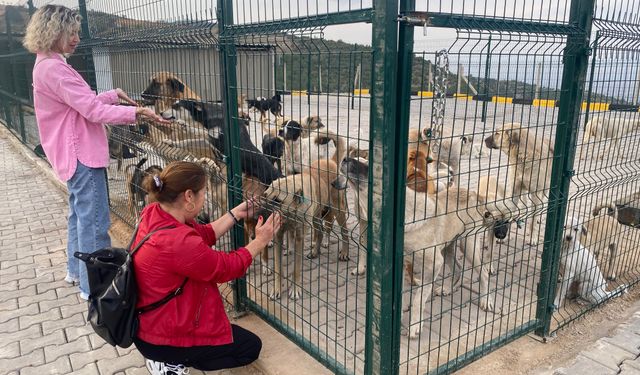 Manisa'ya yeni bir doğal yaşam merkezi açıldı