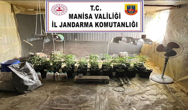 Evinde iklimlendirme sistemiyle kenevir yetiştirirken yakalandı