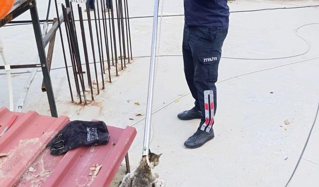 Manisa'da bacaya sıkışan kedi kurtarıldı