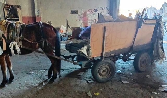 Manisa'da at arabası operasyonu!