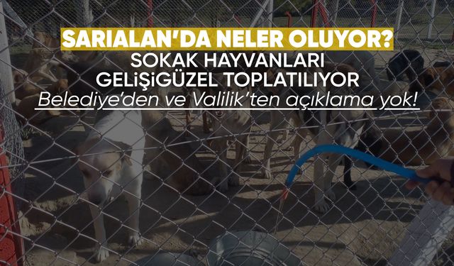 Sarıalan’da neler oluyor?