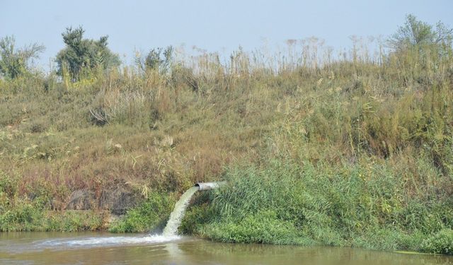 Cezalar çevre sorunlarını çözmeye yetiyor mu?