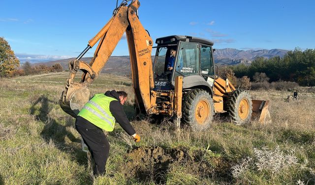 Manisa'da atıl araziler tarıma kazandırılıyor