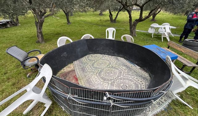 Manisa'da horoz dövüşü baskını