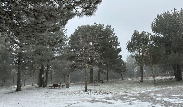 Manisa'nın yüksek kesimlerinde kar etkili oldu