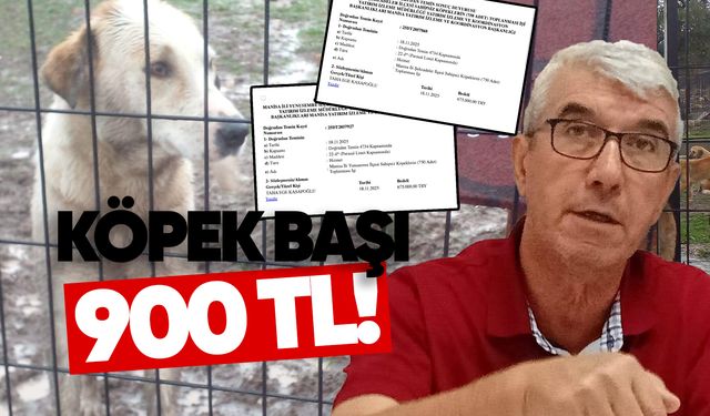 Köpek başına 900 TL!