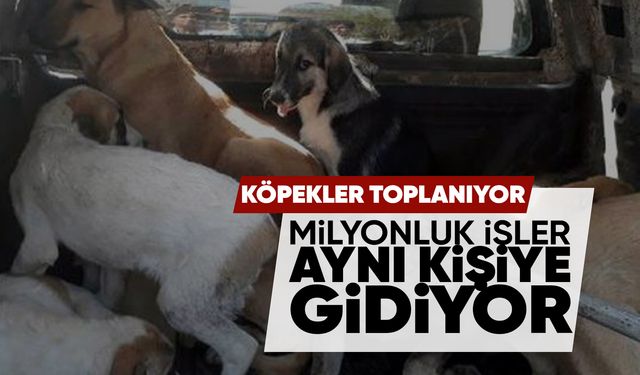 Manisa’da aynı isme milyonluk doğrudan teminler!