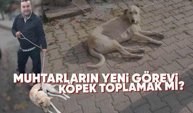 HAKDEM’den Manisa'daki 4 muhtara suç duyurusu