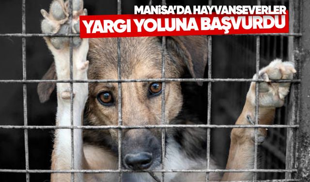 Manisa’da hayvanseverler yargı yoluna başvurdu