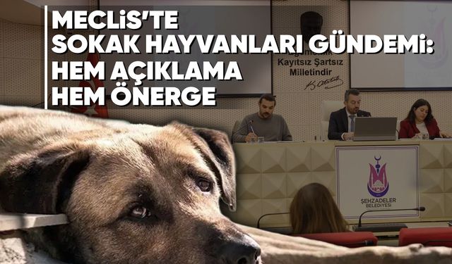 Şehzadeler Meclis’inde sokak hayvanları gündemi