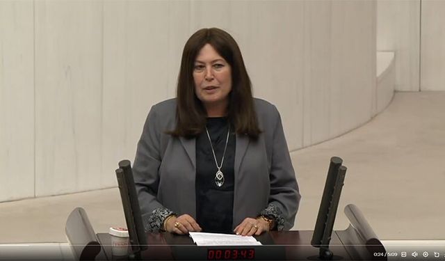 Vestel’deki kriz Meclis gündemine taşındı