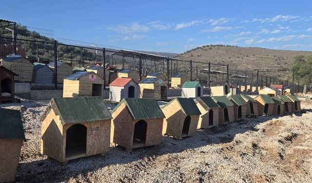 Seren Serengil’den Gülşah Durbay için Sarıalan’a destek