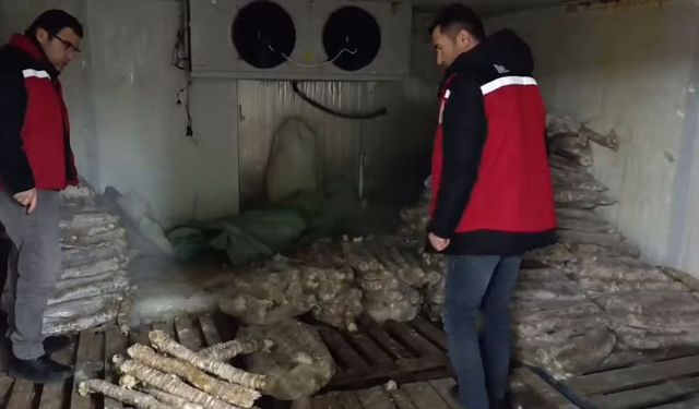 Manisa'da tonlarca bozuk kokoreç ele geçirildi