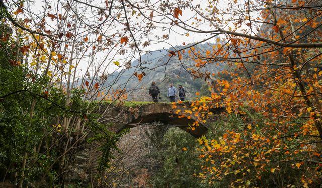 Manisa'daki Çaybaşı Deresi'nde kartpostallık görüntüler