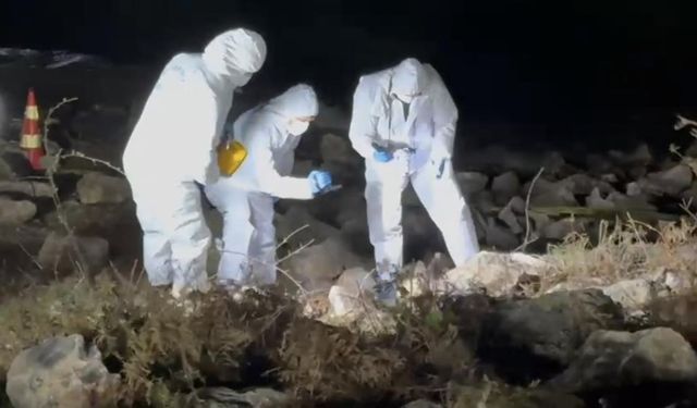 Kaybolduktan 8 gün sonra ölü bulunan Elif'in ölüm nedeni netleşti