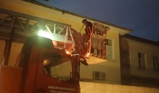Manisa'da çatıda mahsur kalan kedi kurtarıldı