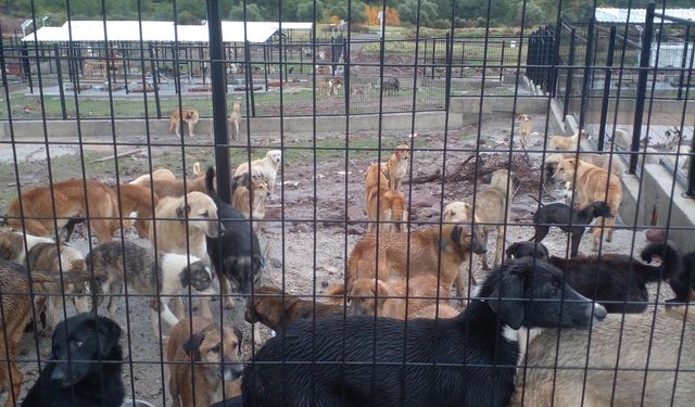 Yeni yılın ilk müjdesi: Sarıalan kapatılıyor!