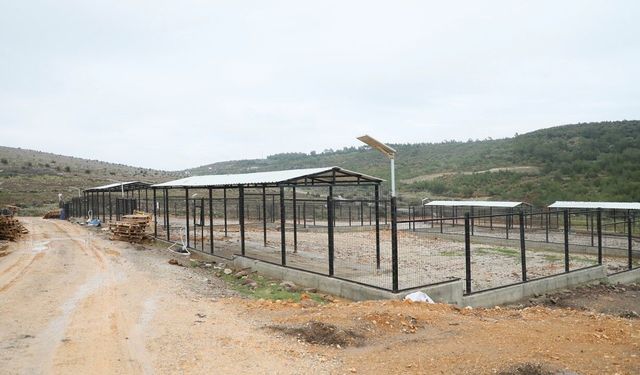 Sarıalan Doğal Yaşam Merkezi kapatıldı!