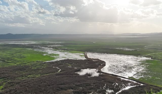 Manisa'daki Marmara Gölü yeniden canlanıyor