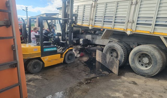 Tamir ettikleri kamyonun kasası üzerlerine düştü: 2 ölü, 1 yaralı