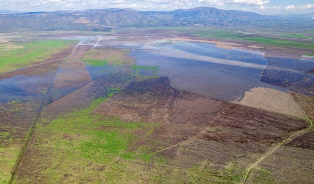 Marmara Gölü'nde umutlandıran görüntü