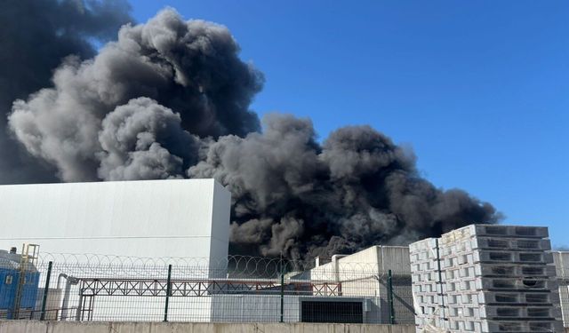Manisa'daki oyuncak fabrikasında yangın çıktı!