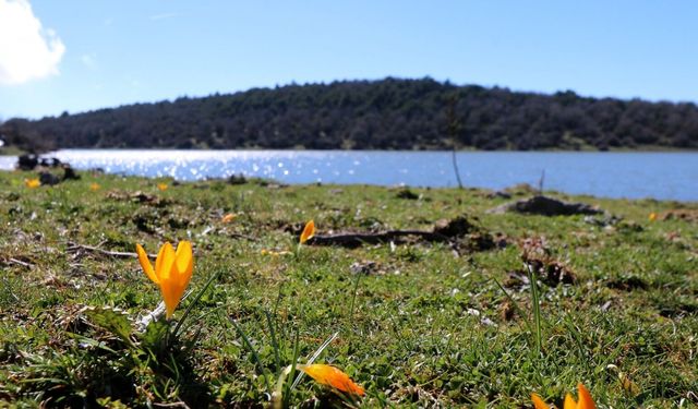 Manisa'da kuruyan bir göl daha yeniden canlandı