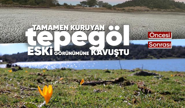 Manisa'da kuruyan bir göl daha yeniden canlandı