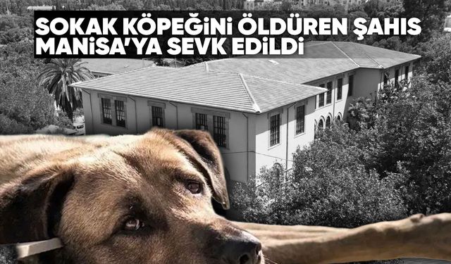 Köpeği bıçaklayarak öldüren şahıs Manisa Ruh Sağlığı Hastanesi’ne sevk edildi