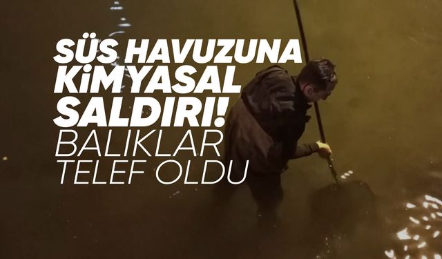 Soma'daki Havuzlu Park’ta kimyasal saldırı