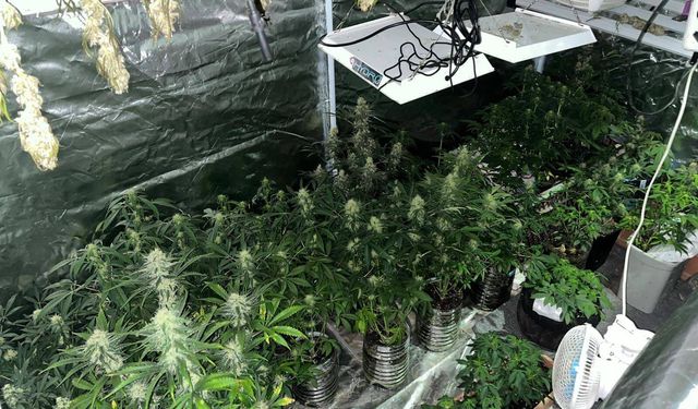 Manisa'da iklimlendirme sistemiyle üretime suçüstü!