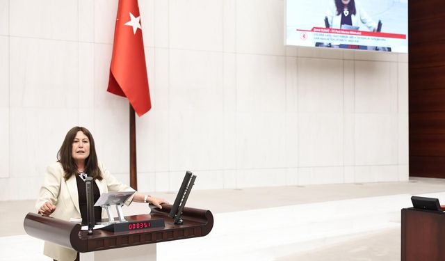 Manisa deprem riski Meclis gündeminde