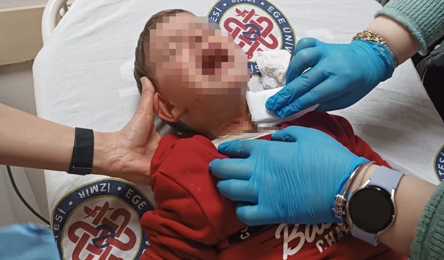 Parkta oynayan 2 yaşındaki çocuğa bıçaklı saldırı