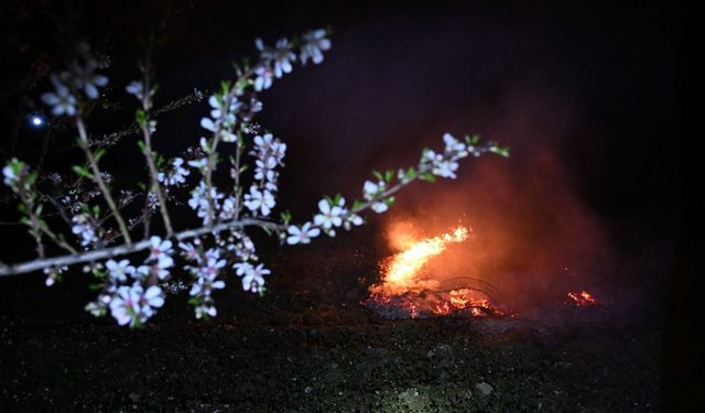 Manisa'da zirai don nöbeti tutuluyor