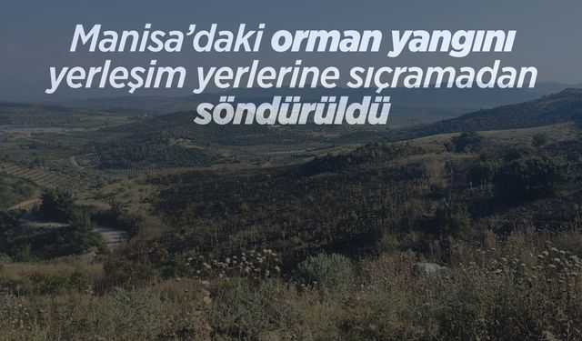 Akhisar’da korkutan orman yangını