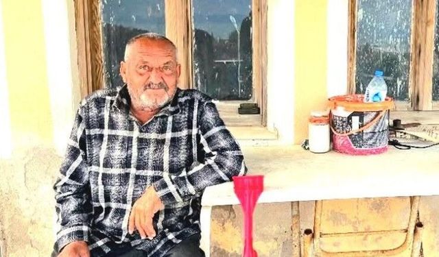 İzmir’de ayı saldırısına uğrayan yaşlı adam hayatını kaybetti