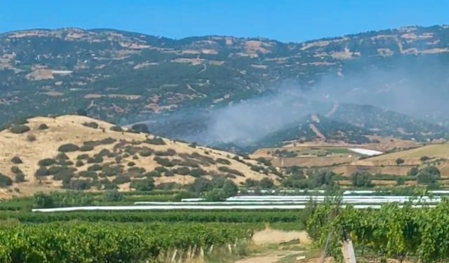 Sarıgöl'de orman yangını: Havadan ve karadan müdahale ediliyor