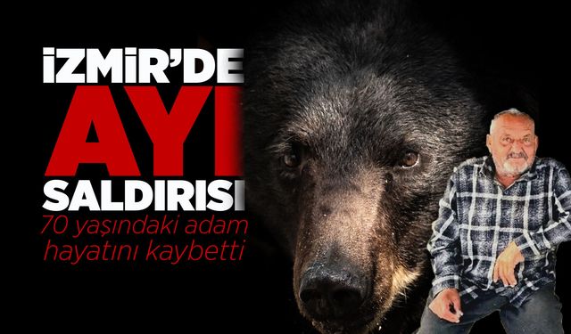 İzmir’de ayı saldırısına uğrayan yaşlı adam hayatını kaybetti