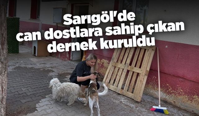 Sarıgöl Sokak Hayvanlarını Koruma Derneği patili dostlara umut oluyor