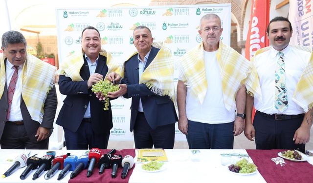 Manisa Bağ Bozumu Şenliği için geri sayım başladı