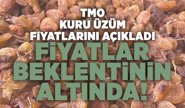 TMO kuru üzüm alım fiyatlarını açıkladı