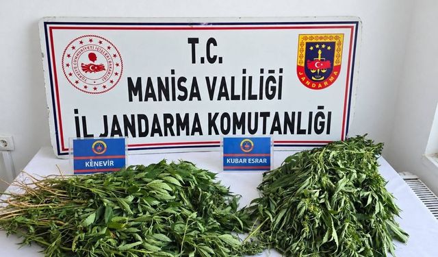 Manisa'nın 4 ilçesinde uyuşturucu operasyonu