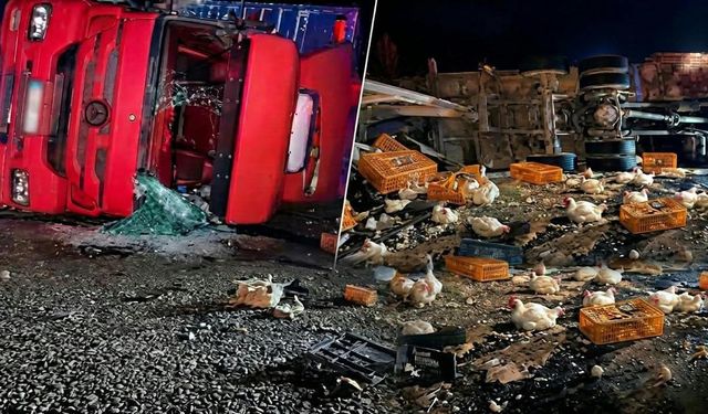 Manisa’da canlı tavuk yüklü kamyon şarampole devrildi