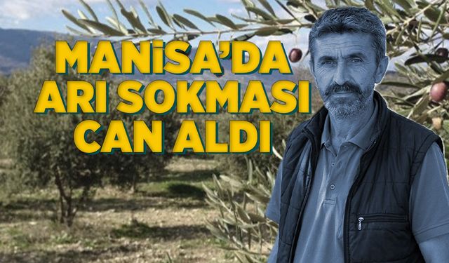 Zeytin hasadında arı sokan şahıs hayatını kaybetti